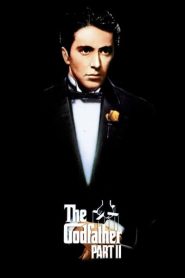 The Godfather Part II (1974) HD