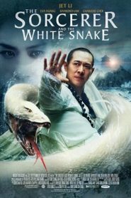 The Sorcerer and the White Snake (2011) HD