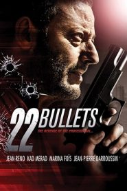 22 Bullets (2010) HD