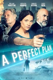 A Perfect Plan (2020) HD
